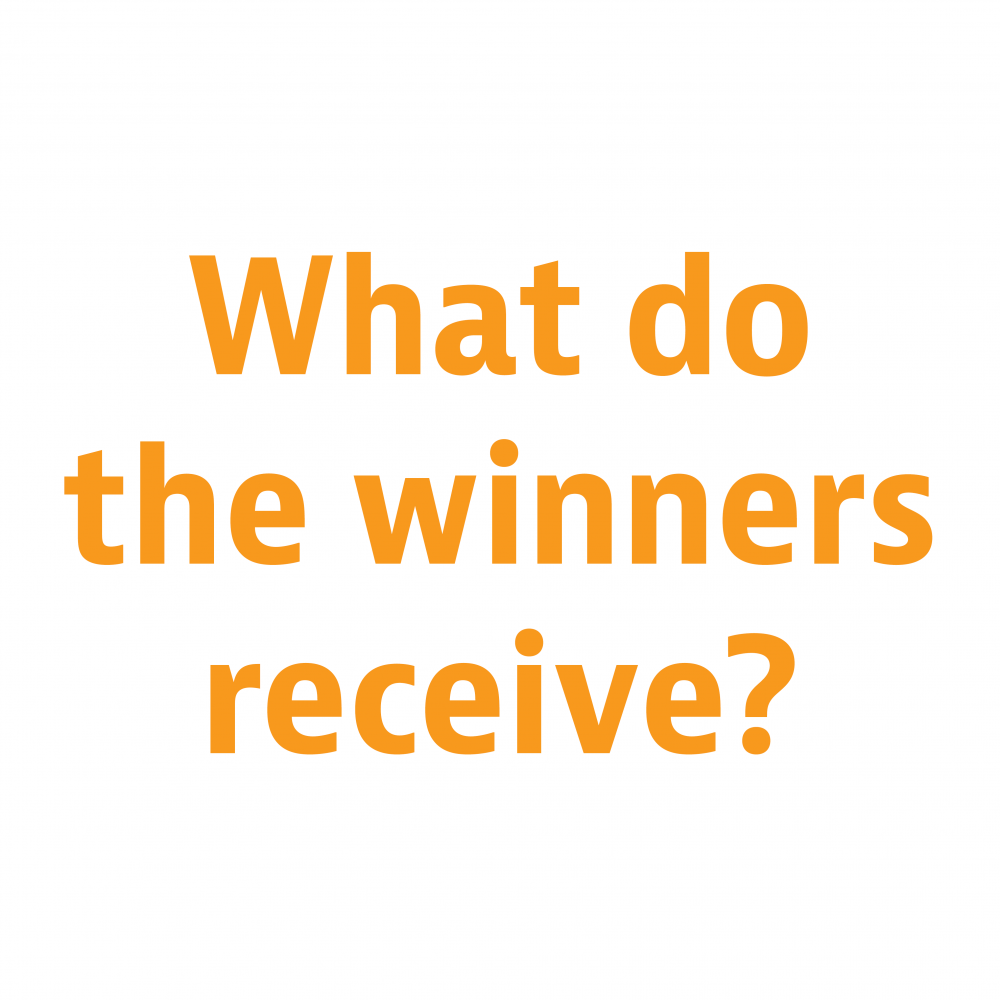 What do the winners receive?